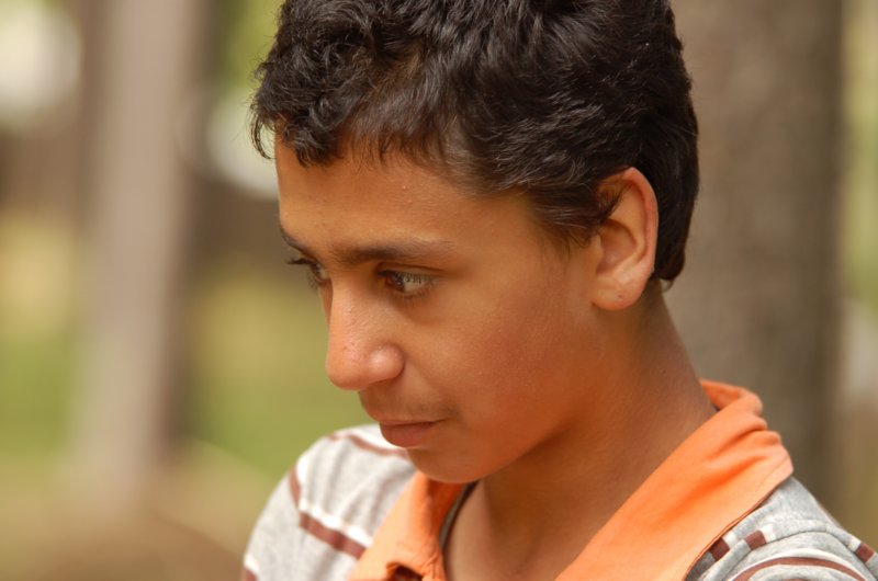 Photograph
